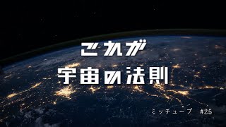 【ミッチューブ】#25 宇宙の法則について話してたらHiroya氏に説教された