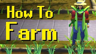 Ultimate Noob Guide To Farming