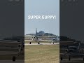 super guppy takeoff shorts