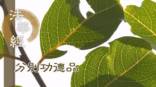 【靜思妙蓮華】法華經 分別功德品 - 勤修三慧 自持教他 - 20240116 第1590集