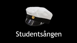 Tampongtomten - Studentsången (Remix)