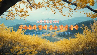 노란 꽃길을 따라, 마음을 울리는 봄 날의 발라드 I Following the Yellow Flower Path: A Heartwarming Spring Ballad