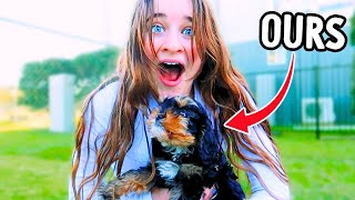 SURPRISING HER WITH A NEW DOG *emotional* w/Norris Nuts