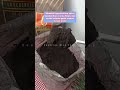 Coklat bubuk ku pahit, boleh ku pinjam janjimu? || Tulip Noir Cocoa Powder