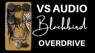 VS Audio Blackbird Overdrive | Fender '65 Blackface and '63 Brownface in a box!