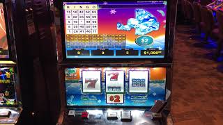 Choctaw slot wins 2020 national championship