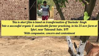 Organic Farmer At Lehri, Bathinda | ਸੋਨਾ-ਮੋਤੀ ਕਣਕ ਅਤੇ ਨਰਮੇ ਦੀ ਫਸਲ ਪੈਸਟੀਸਾਈਡ ਬਿਨ੍ਹਾਂ ਕਰਨ ਵਾਲਾ ਕਿਸਾਨ