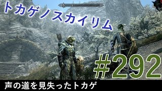 ＃２９２［PS4 Pro］実況：トカゲのスカイリム The Elder Scrolls V Skyrim Special Edition