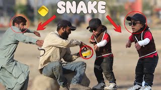 Snake In Box - Funny Reactions