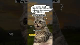 Ex ඔයාව දාලා ගියේ මොකක් කියලද 😒💔#trending #millionsviews #shortsfeed #quotes #funny #memes #fypシ゚