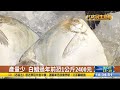 過年將漲價 萬巒豬腳湧採買人潮 【民生八方事】 2024123007 @gtvnews27