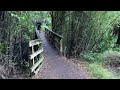 keri keri river track five water falls rainbow falls new zealand