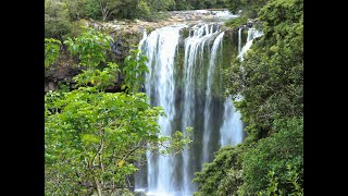 Keri Keri River Track / Five water falls/Rainbow falls New Zealand