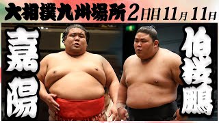 大相撲　嘉陽ー伯桜鵬　＜令和６年九州場所・２日目＞SUMO