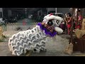 新加坡顺利壇體育會 slt association lion dance traditional performance at ji yun tan 11 dec 2023