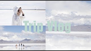 Salt Lake City 盐湖城· Trip Vlog | yangyyoung