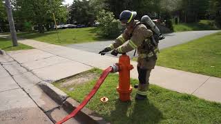 Hydrant Evolution