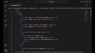 Input Size attribute | HTML/CSS