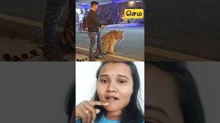 நீ வேற மாதிரிடா😲😱#shortsvideo #loveanimals #lovesanimals