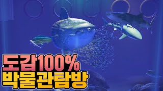 【모동숲】80마리 전부 기증한 『물고기 박물관🐟』