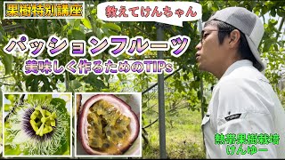 【果樹講座】パッションフルーツ！品種や育て方，その他多くの雑学！！シワが寄らない方が美味い理由は！？