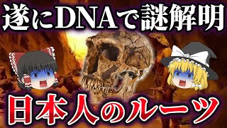 【ゆっくり解説】最新DNA解析で謎解明⁉私たち日本人のルーツとは？