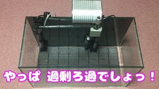 【ビーシュリンプ】めっちゃ痛ぁい…でも それがまた快感… !?　#05 商品紹介とブリード用60cm水槽の立ち上げ