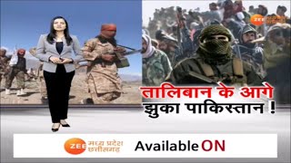 Special Report : तालिबान के आगे झुका पाकिस्तान! Taliban Pakistan Afghanistan War Update | World