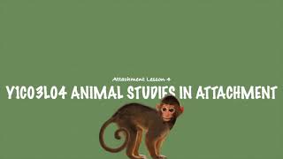 A-Level Psychology (AQA): Animal Studies in Attachment