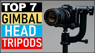 Best Gimbal Head Tripods in 2024