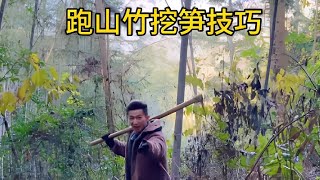 跑山竹挖笋技巧：根据竹林环境判断跑山竹的竹鞭走向，让你轻松挖到冬笋，分享给热爱挖笋的朋友们，点赞收藏起来！#我的乡村生活 #挖笋的乐趣只有体验过才懂 #挖冬笋 #挖笋技巧