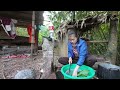 single mom s life in a rural village traditional vietnamese bánh chưng making. breastfeeding