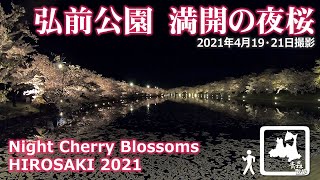 弘前さくらまつり2021 満開の夜桜 弘前公園内・外濠の夜桜をお楽しみください hirosaki night cherry blossom (sakura)