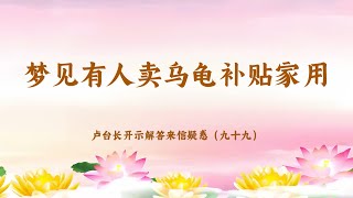 【梦见有人卖乌龟补贴家用】卢台长开示解答来信疑惑（九十九）| 观世音菩萨心灵法门