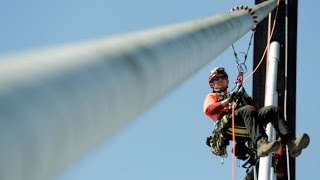 How bridges stay healthy