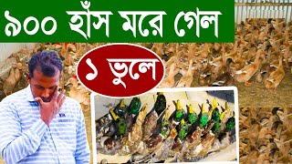 হাঁস পালন করে লস খামরী | সব হাঁস মরে গেলো | হাঁসের খামার করে লস | How duck farm | uddoktar safollo