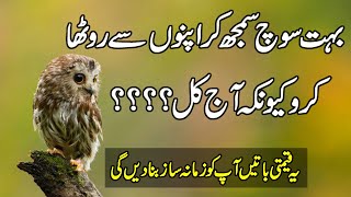 Beautifu Aqwal e Zareem in Urdu | Quotes About Life | Motivational Quotes In Hindi | Quotes In Urdu