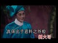 白兔會相遇 龍劍笙 梅雪詩