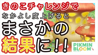 【検証】きのこチャレンジってなかよし度上げに向いてるの？？＊ピクミンブルーム＊