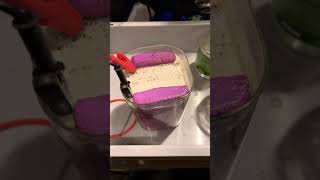 Secret Electrolysis of urea and potassium hydroxide experiment! Omg