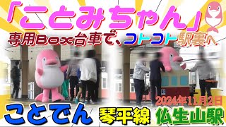 ことでんのマスコットキャラクター「ことみちゃん」専用Box台車でコトコト駅裏へ　ことでん琴平線　仏生山駅