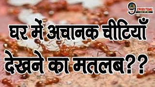 अगर आपको भी घर में अचानक से दिख जाएँ चीटियाँ तो...|| Ants In Home Vaastu Tips