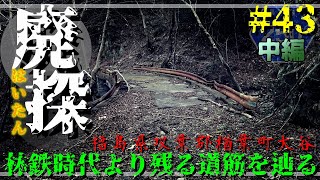 【廃道探索】#43 中編 林鉄時代より残る道筋を辿る｜いつつわはし｜福島県双葉郡楢葉町上小塙｜福島県道250号下川内竜田停車場線｜町道女平東沢線｜木戸川森林鉄道｜2021年12月下旬【旧道・酷道】