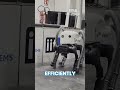 VERO: Beach Cleaning Robot