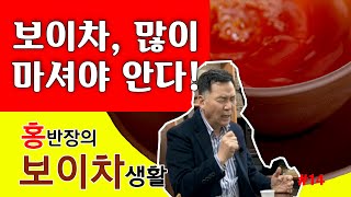 보이차를 많이 마셔 보자! 진짜 많이 마셔 보자! 그래야 보이차를 진짜 알 수 있다! _홍반장의 보이차 생활 14편