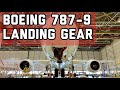 BOEING 787-9 | LANDING GEAR | EXTEND AND RETRACT