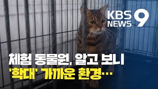 코로나로 문 닫는 체험형 실내동물원…동물들은 어디로? / KBS뉴스(News)