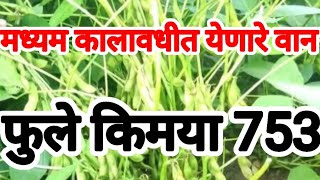 फुले किमया 753।फुले किमया 753 सोयाबीन माहिती।मध्यम कालावधीत येणारे।Fule Kimaya 753 Soybean Mahiti।