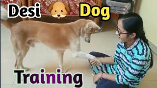 Desi Dog Training #Moti || Life With Desi Dog