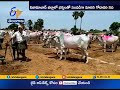 eruvaka pournami launched by minister jagadish reddy in suryapet